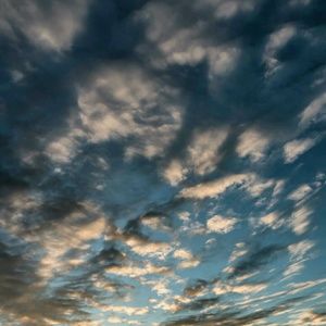 Meet your Posher, Dennis